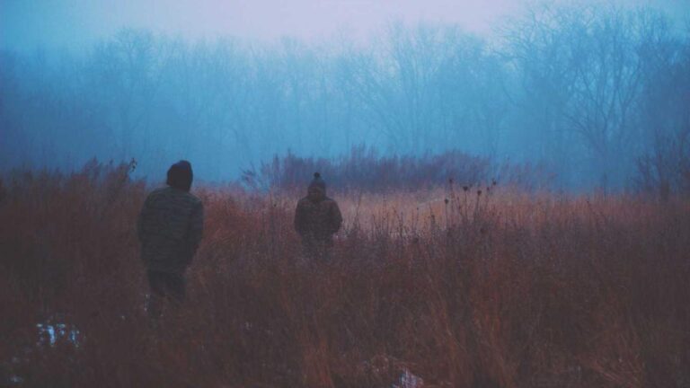 What Type Of Issues Does The 99Exch Help Desk Resolve?